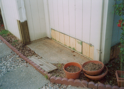 Rotted trim replaced, rotted siding replaced